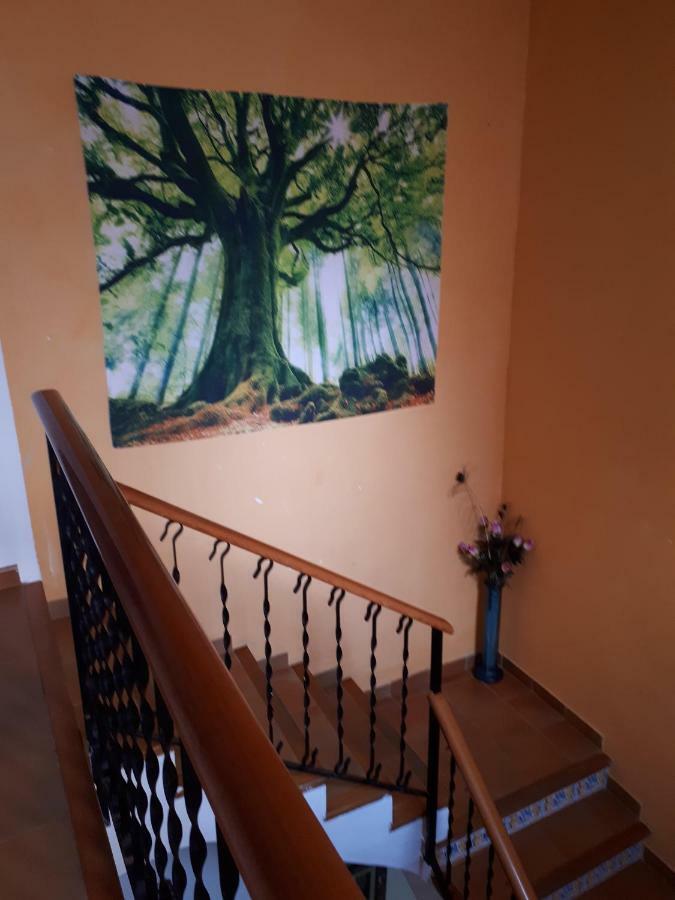Habitación Doble Grande con sofá cama y baño privado